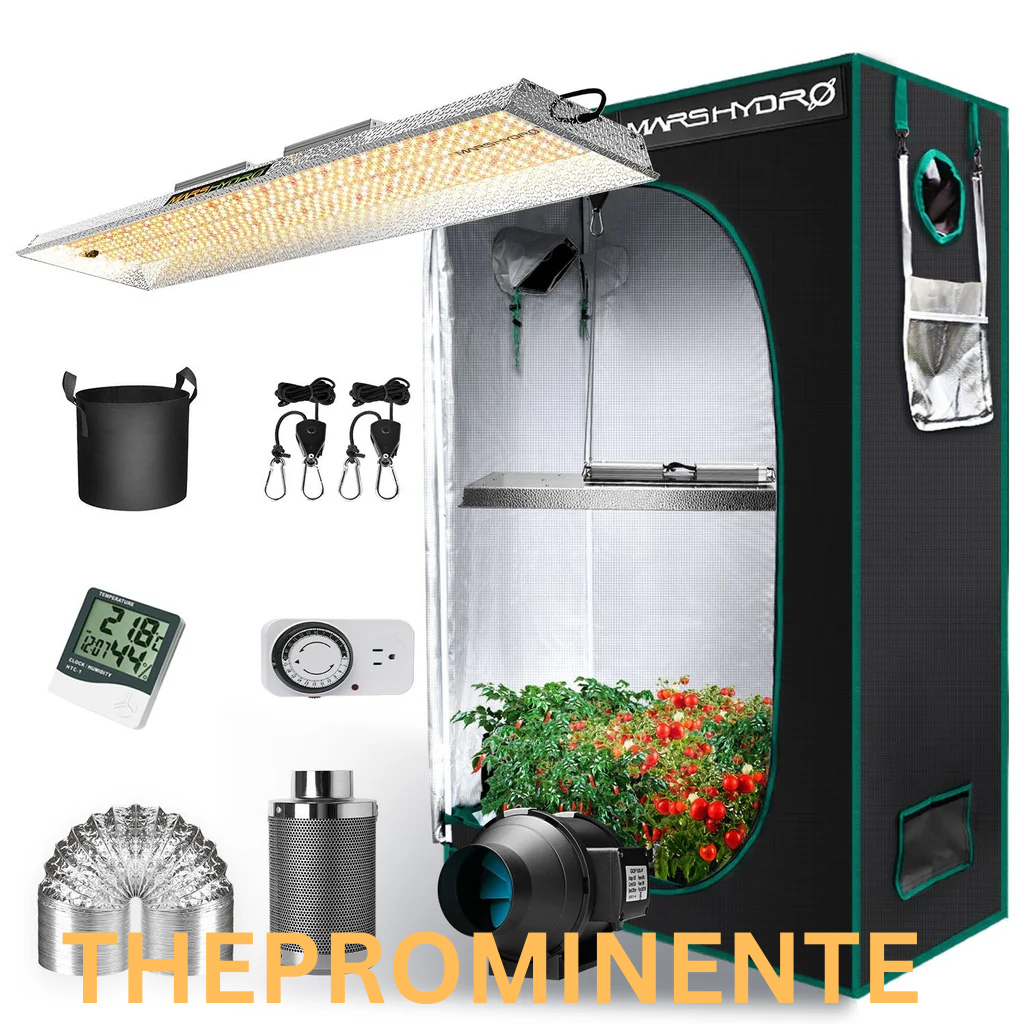 Mars Hydro – Effiziente LED-Technologie für modernes Indoor-Gardening