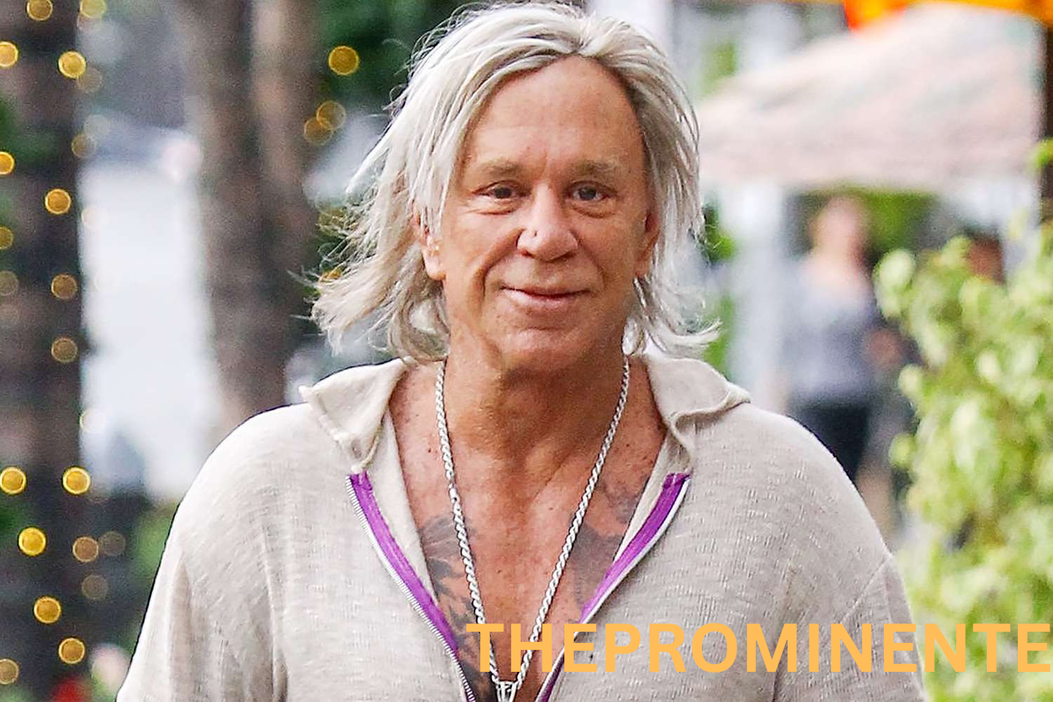 Mickey Rourke Vom Boxring zur großen Leinwand und zurück