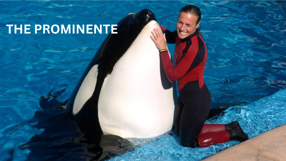 Die tragische Geschichte von dawn brancheau leiche – Ein erschütternder Vorfall im SeaWorld-Orca-Becken